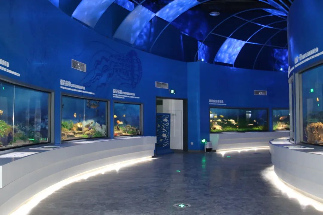 展廳