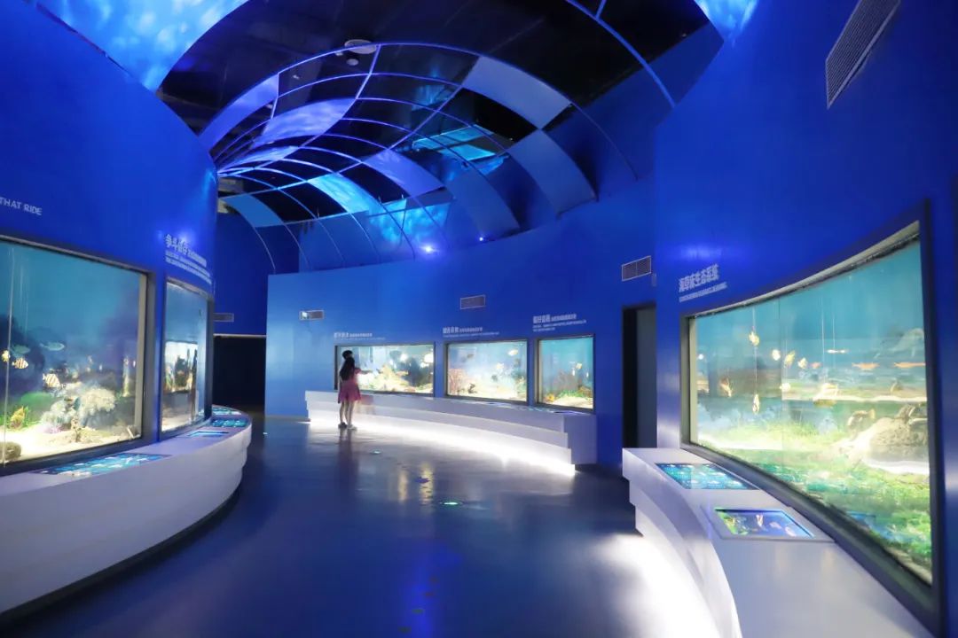 小型海洋生物展示區(qū)