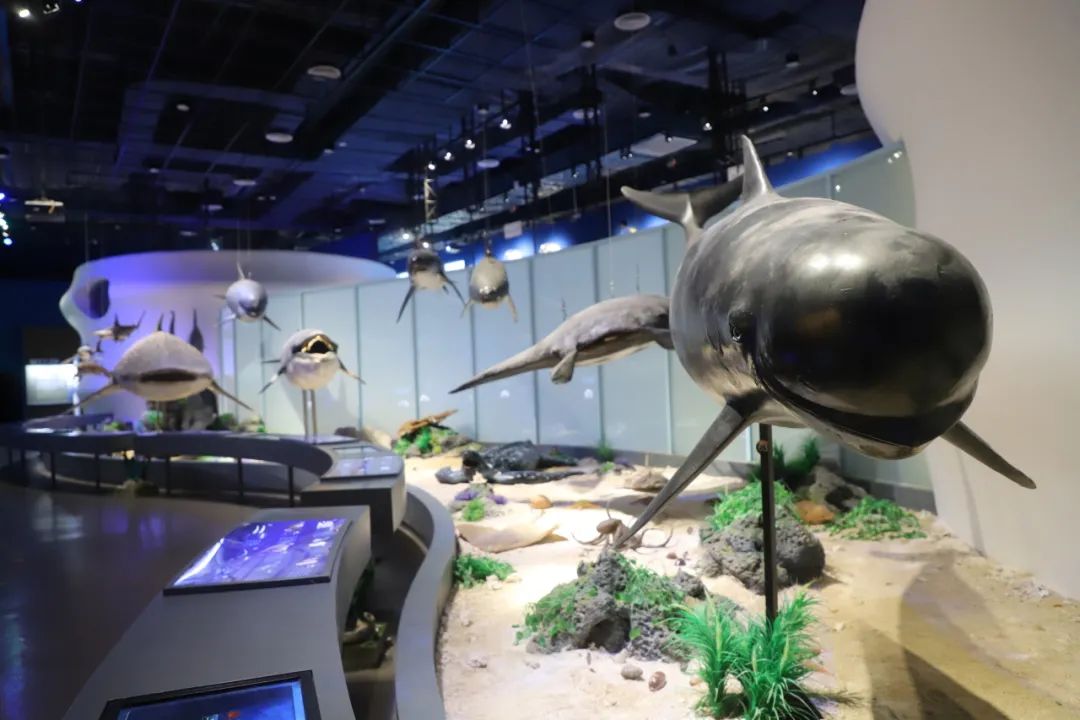大型場景展示區(qū)