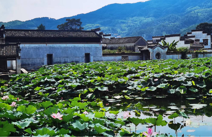 呈坎村村景圖