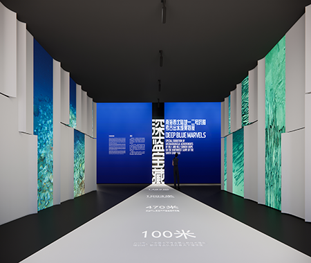 展覽類(lèi)型：專(zhuān)題展覽展覽位置：中國(guó)（海南）南海博物館6號(hào)展廳深藍(lán)寶藏——南海西北陸坡一二號(hào)沉船考古成果特展展覽緊緊圍繞兩處沉船遺址的發(fā)現(xiàn),、調(diào)查、初步研究成果,、拓展延伸、文物保護(hù)等方面,，精選兩處沉船遺址考古出水文物約408件（套）,，并向故宮博物院等五家文博單位借展相關(guān)文物34件（套），共計(jì)約442件（套）,，配以圖文版面,、情境設(shè)計(jì)、文物保護(hù)過(guò)程展示等手段,，讓人通過(guò)珍貴的出水文物,、水下影像和考古故事，了解南海水下考古的重要發(fā)現(xiàn),，感受古代海上絲綢之路的歷史魅力,。 點(diǎn)擊進(jìn)入